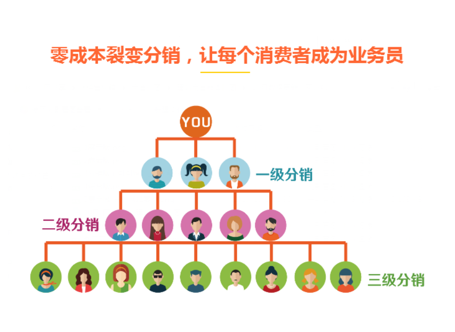 分销商城系统：共建成功商业生态圈