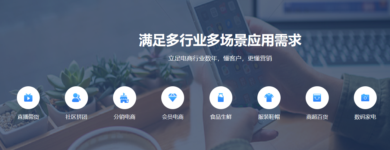 商城系统：打造多元化电商平台，满足不同行业需求